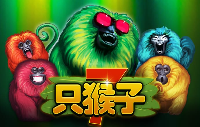 开云app全站